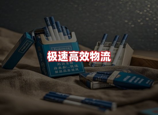 专业团队